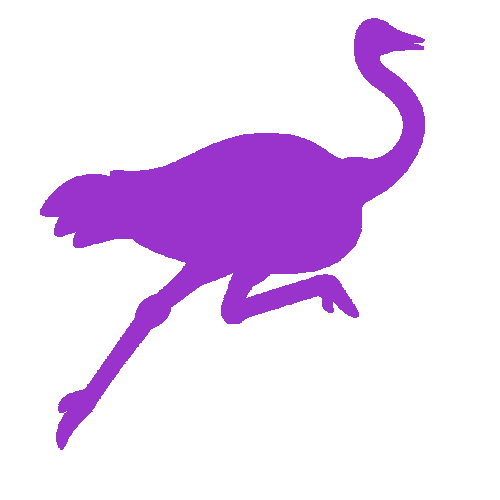 Nostr